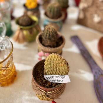 Cactus en pot décoré pailleté