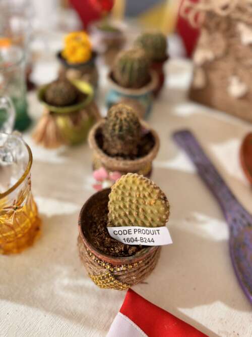 Cactus en pot décoré pailleté