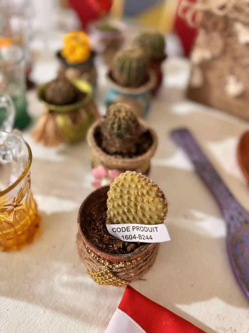 Cactus en pot décoré pailleté