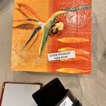 Tableau « Oiseau » sur fond orange